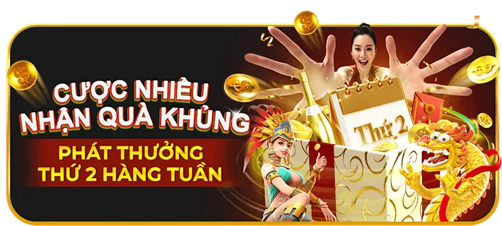 Hoàn trả thể thao K9CC.9CC