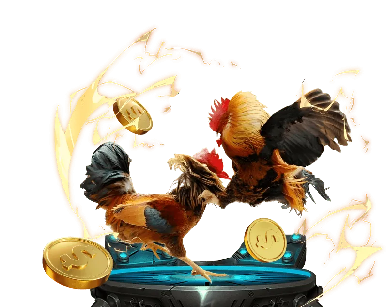 Giới thiệu về K9CC.9CC và cam kết uy tín